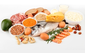 Alimentación-y-proteínas
